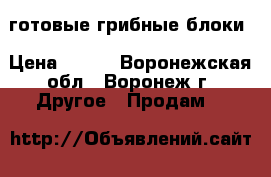 готовые грибные блоки › Цена ­ 120 - Воронежская обл., Воронеж г. Другое » Продам   